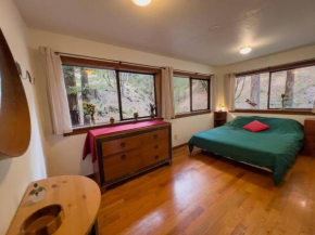 Little House in the Redwoods with a hot tub!